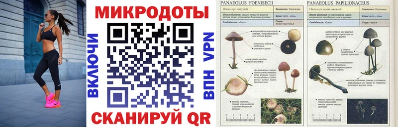 Галлюциногенные грибы GOLDEN TEACHER  Кудрово 