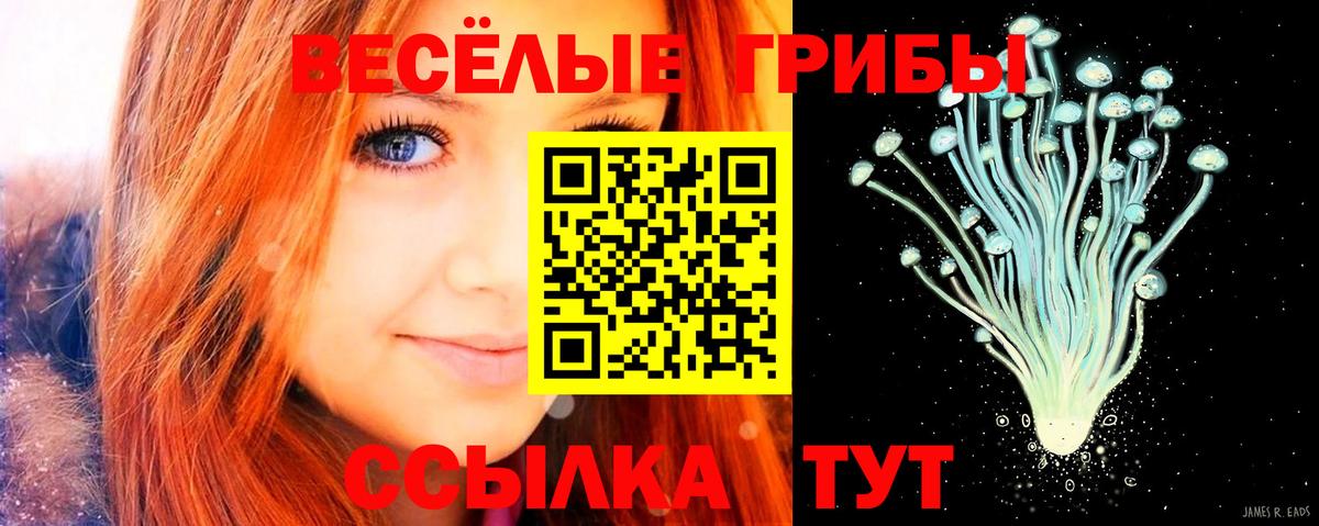 Псилоцибиновые грибы Psilocybe  магазин продажи наркотиков  Кудрово  Вход с VPN  Псилоцибиновые грибы ЛСД 
